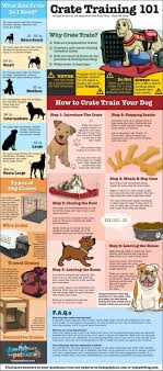 Dog Crate Training Dogcratetraining Crate Training Dog Dog Training Puppy Training