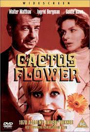 In cactus flower, just as in the importance of. Cactus Flower Uk Import Amazon De Walter Matthau Ingrid Bergman Goldie Hawn Jack Weston Rick Lenz Vito Scotti Irene Hervey Eve Bruce Irwin Charone Matthew Saks Linda Burton Hy Chase Charles Lang Gene