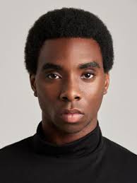 Male Commercial Artists