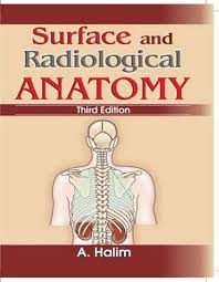 Surface anatomy and surface markings bibliographic record list of illustrations subject index. Surface And Radiological Anatomy 3e Pb 2014 Halim A 9788123919522 Amazon Com Books