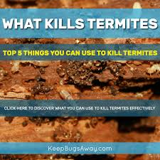 Want To Know What Kills Termites Naturally And What Chemicals Kill Termites So Read This Post To Discover What You Termites Termite Control Termite Treatment
