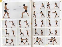 Fighting Poses Fighting Poses Action Pose Reference Pose Reference