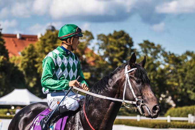 Las mejores apuestas destacadas en carreras de caballos