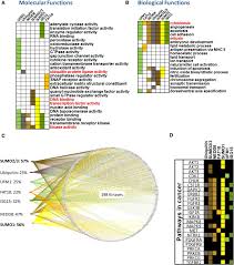 Profiling of Ubiquitin-like Modifications Reveals Features of Mitotic  Control