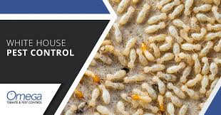 Call an orkin expert today to manage & remove termites from your house. White House Pest Control 100 Satisfaction Guarantee Omega Termite And Pest Control