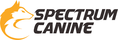 Offering unique board and train programs. How Much Does Dog Training Cost