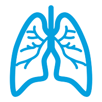 Adenocarcinoma cancers being usually in one of the following organs: Mesothelioma Symptoms Nemeroff Law