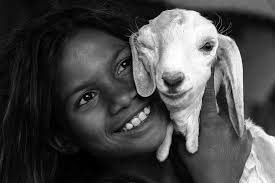 fotografandoinitalia6](https://www.facebook.com/hashtag/fotografandoinitalia6?__eep__=6&__cft__[0  ...