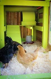 The hen is announcing her good deed for all to hear. Modern Aesthetic Chicken Coop 1001 Gardens Chicken Coop Garden Chicken Coop Aesthetic Chicken
