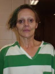 Woman charged for hiding evidence in Dixon stabbing investigation