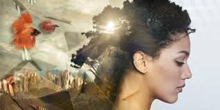 Petra Marsh's Instagram, Twitter & Facebook