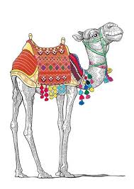 Pin On Camels