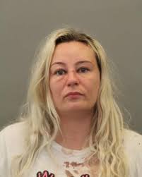 Des Plaines Police Department 1420 E Miner St Des Plaines, IL 60016  www.desplaines.org FOR IMMEDIATE RELEASE July 24