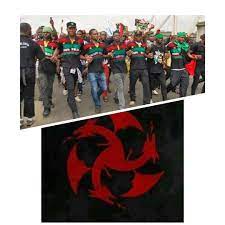 Imagine planting biafran flag at the crime scene. Ipob Raises The Dragon Flag Signifying The Act Of War