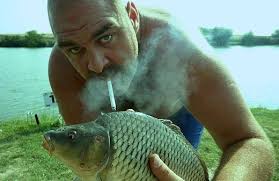 Stay in touch with las fierbinți next episode air date and your favorite tv shows. Nicu Rata A Descoperit Un Nou Bar Las Fierbinti La Sulimanu