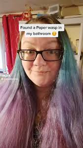 Polistes (paper wasps) are actually some of the more chill social wasps.  Just don't mess with their babies.