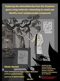 Image result for Strychnos matopensis