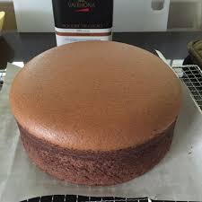 Sponge cake is a light cake made with egg whites, flour and sugar, sometimes leavened with baking powder. Private Site Chocolate Sponge Cake Chocolate Sponge Sponge Cake Recipes