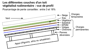 Tout Pour Reussir Un Toit Vegetalise Rudimentaire Techniques Calculs De Dossiers Ecologie Fleurs Jardins Pa Toit Vegetalise Toit Vegetalisation