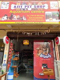 We gradually added victor to 51 of our stores last year. Ajit Pet Shop Aquarium Center Risali Pet Shops In Bhilai Durg Justdial