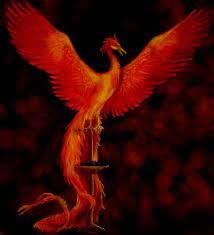 Please to search on seekpng.com. Fawkes The Phoenix Phoenix Harry Potter Harry Potter Colors Harry Potter Quilt
