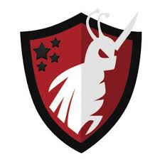 Pest control, exterminator, rodent control | ridgewood, ny. Buzzkill Pest Control College Point Ny