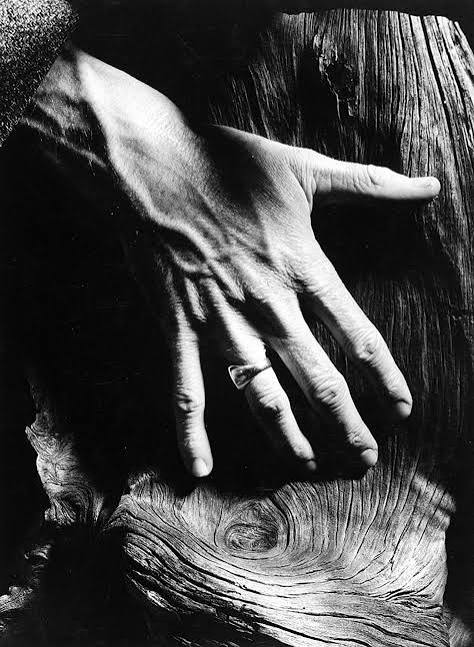 Work by Minor White