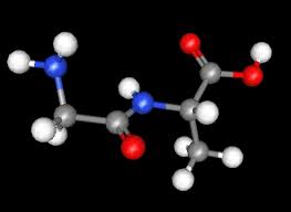 Image result for پپتیدهای فعال زیستی: برنامه ها و کاربرد آن برای لوازم آرایشی