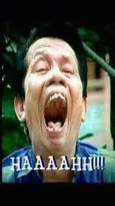 Gambar foto monyet yang akan kami bagikan ini adalah gambar gambar terpilih yang sudah kami monyet adalah hewan primata yaitu kelompok paraphyletic yang umumnya memiliki ekor dan terdiri. Reza Reza Barlinsaje Profil Pinterest