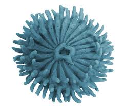 Image result for Arthropteris anniana