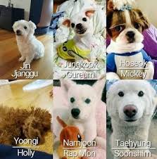Bruh How You Bout To Get A Dog And Name It After Yourself Monie Meninos Bts Imagens Bts Animais De Estimacao