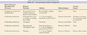 Classification Of Organisms