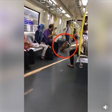 Rapid rail sdn bhd, a subsidiary of prasarana negara bhd, is the operator of the mrt kajang line while mass rapid transit corporation sdn bhd (mrt corp) is the asset owner. Rapid Kl Apologises After Video Of A Stray Dog Taking An Lrt Ride Causes Uproar Nestia