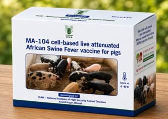Indigenous African Swine Fever vaccine