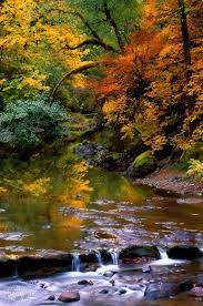 Coat Of Many Colors Autumn Landscape Autumn Scenery Scenery