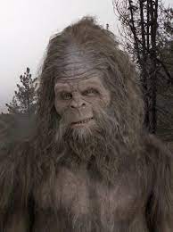 Sasquatch Meme Generator Imgflip