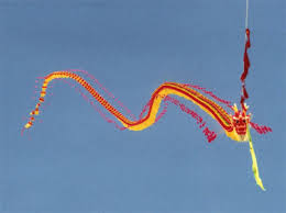 Image result for kites