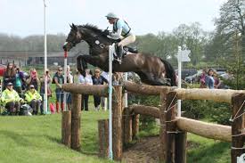 The document has moved here. British Event Rider Izzy Taylor Offers Major Sponsorship Opportunity Everything Horse