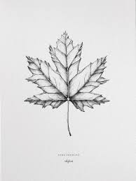 Pflanzen In 2020 Ahornblatt Tattoo Ahornblatt Augen Zeichnen