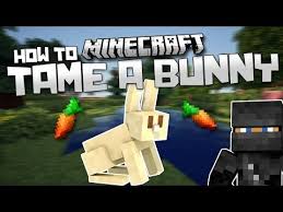 How To Tame A Rabbit Or Bunny In Minecraft Tutorials Videos Show Your Creation Minecraft Forum Minecraft Forum Minecraft Bunny Rabbit