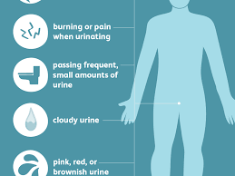 Utis usually aren't very serious, but it helps to identify and treat these infections as soon as possible so you can go back to feeling your best. Uti In Men Symptoms Causes Diagnosis And Treatment