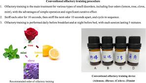 Image result for Olfactory Training