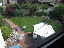 Kaninchen Haltung Frei Im Ganzen Garten Kaninchen