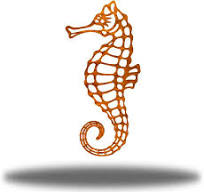 Amazon.com: Riverside Designs Caballito de mar costero ...