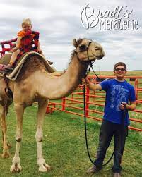 You Ll Never Forget Your Trip To The Largest Petting Zoo In Oklahoma Zoo Animals Oklahoma Travel Oklahoma
