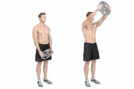 With the incline dumbbell front raise, you may either maintain a neutral grip, use a pronated (overhand) grip, or start with a neutral grip and internally rotate your shoulders as your arms rise (see first video). 7 Muscle Building Shoulder Exercises To Build Strong 3d Shoulders Gymguider Com