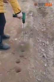 Pflanzmaschine Fur Den Obst Und Gemuseanbau Video In 2020 Pflanzen Gemuseanbau Garten Anpflanzen