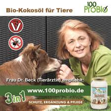 tierarzte empfehlen kokosol fur tiere zeckenschutz hund tierarzt tiere