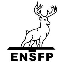 Escuela Normal de San Felipe del Progreso