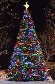 C7 Bulbs On Tree Google Search Christmas Lights Outside Christmas Glitter Christmas